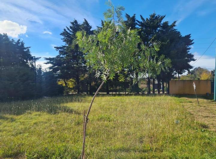 Terreno · 516m²