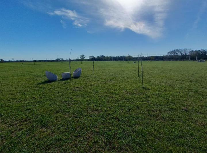 Terreno · 301m²