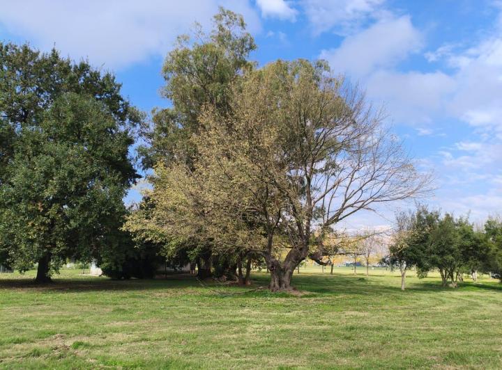 Terreno · 3429m²