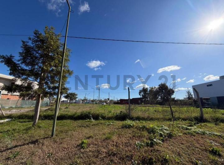 Terreno · 266m²