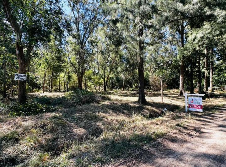 Terreno · 1600m²