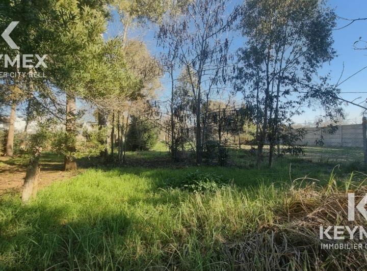 Terreno · 731m²