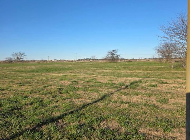 Terreno · 2132m²
