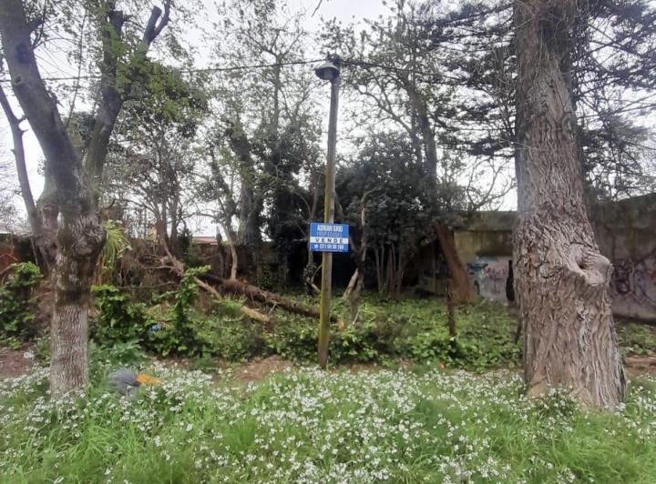 Terreno · 50m²