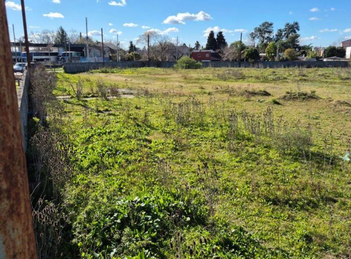 Terreno · 11000m²