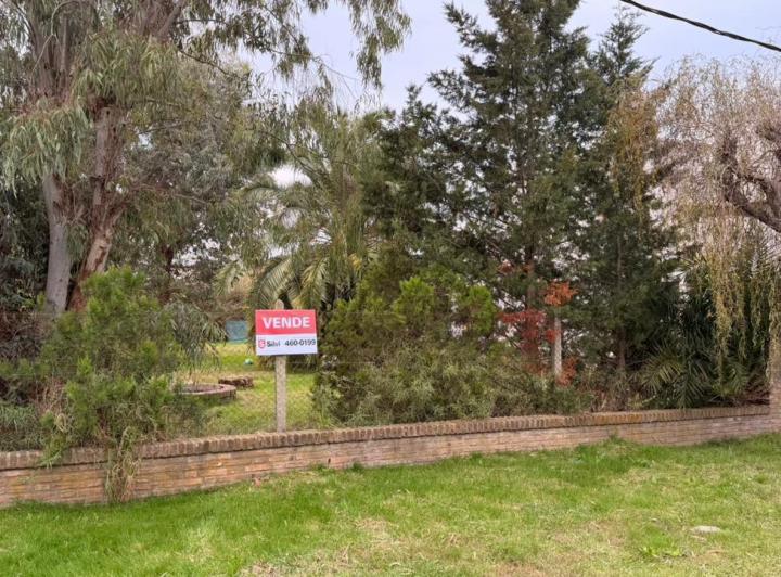 Terreno · 562m²