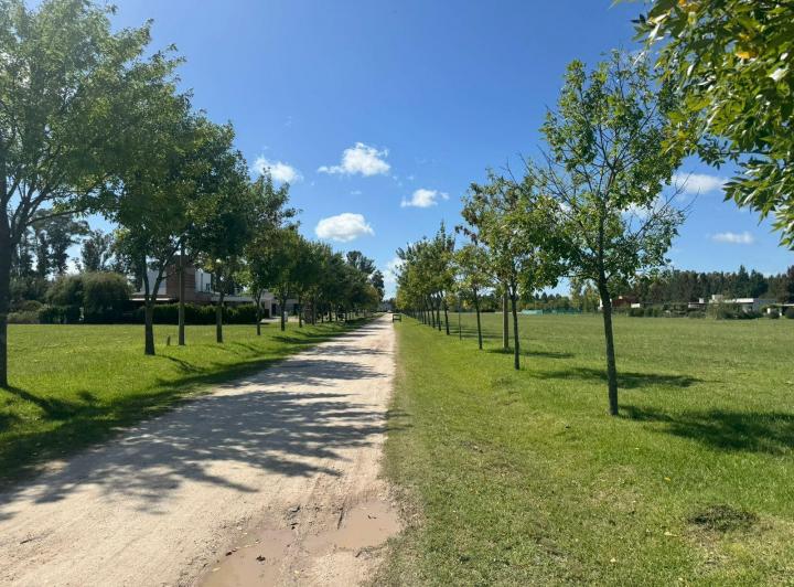 Terreno · 2500m²