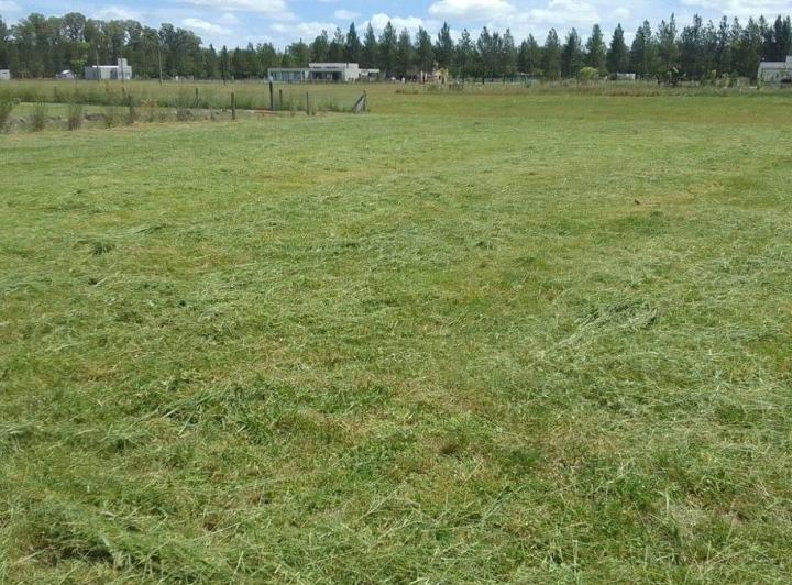 Terreno · 2356m²