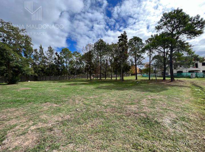 Terreno · 962m²
