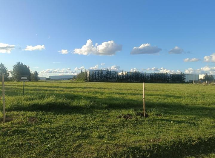 Terreno