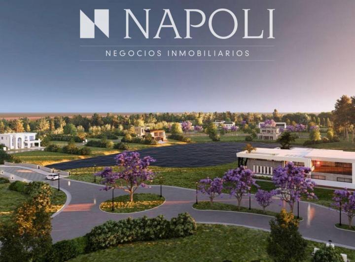 Terreno · 726m²