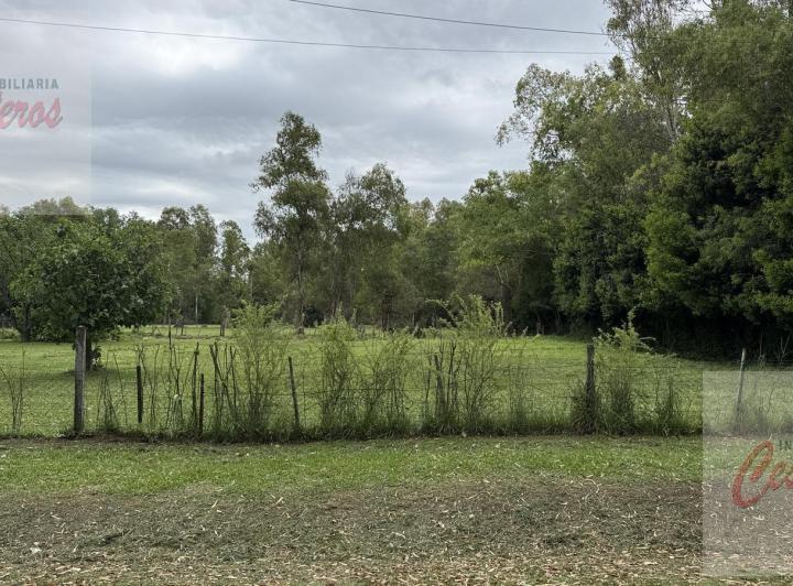 Terreno · 1000m²