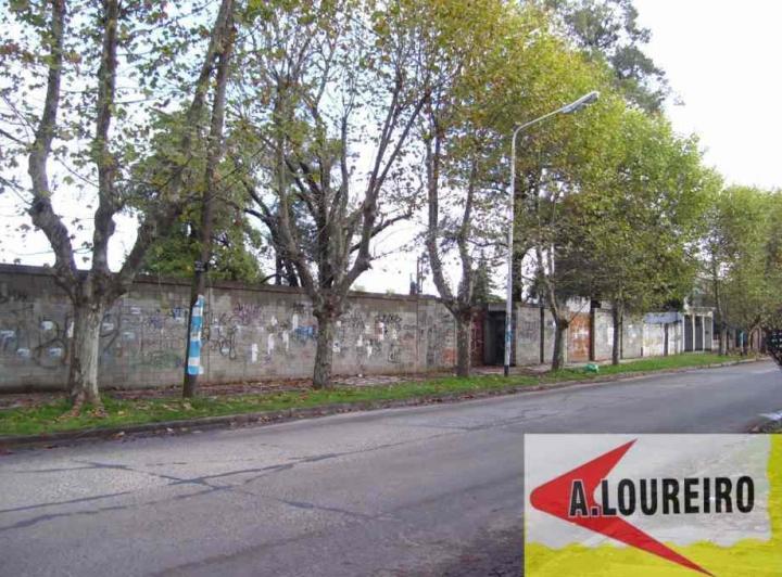 Terreno · 2921m²