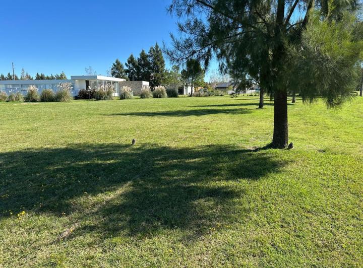 Terreno · 1978m²