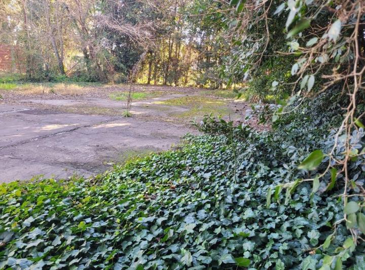 Terreno · 202m²
