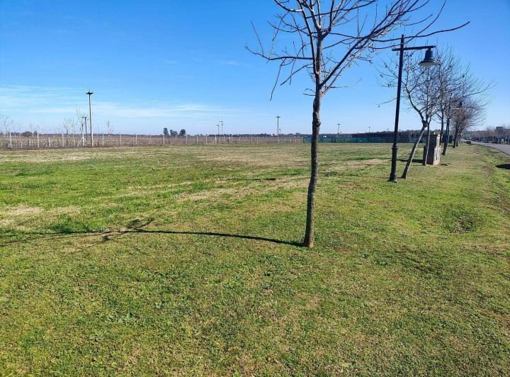Terreno · 1005m²