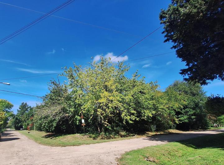 Terreno · 626m²