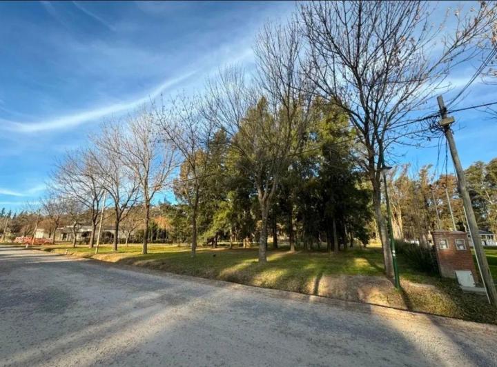 Terreno · 3625m²