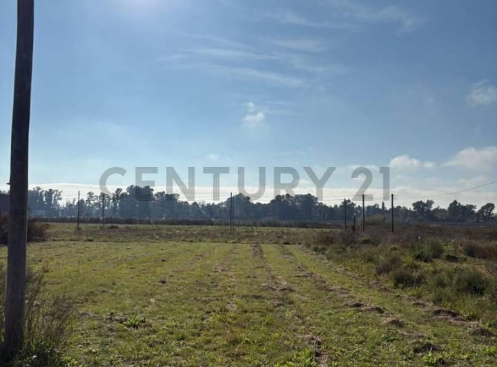 Terreno · 288m²