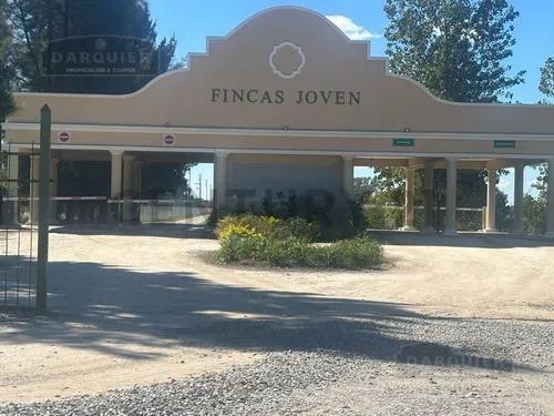 Terreno · 954m²