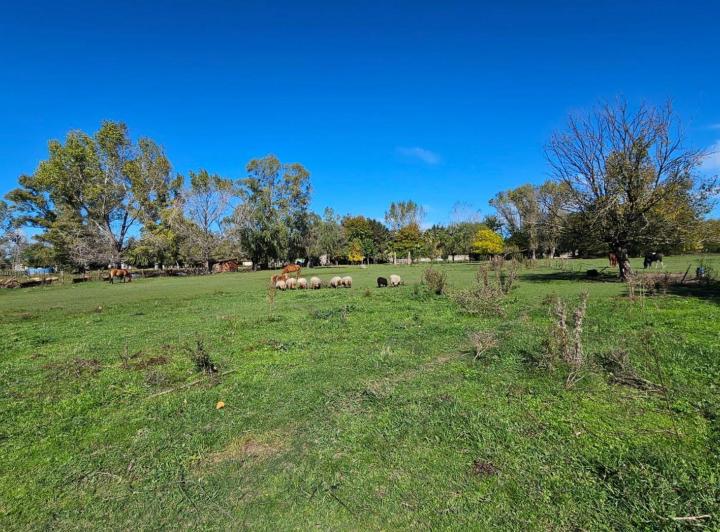 Terreno · 2000m²