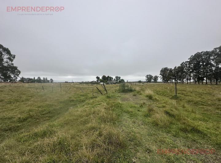 Terreno · 60000m²