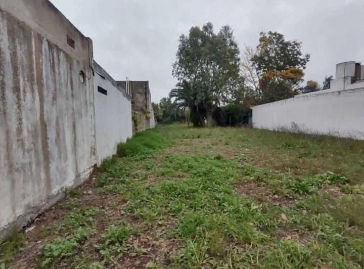 Terreno · 650m²