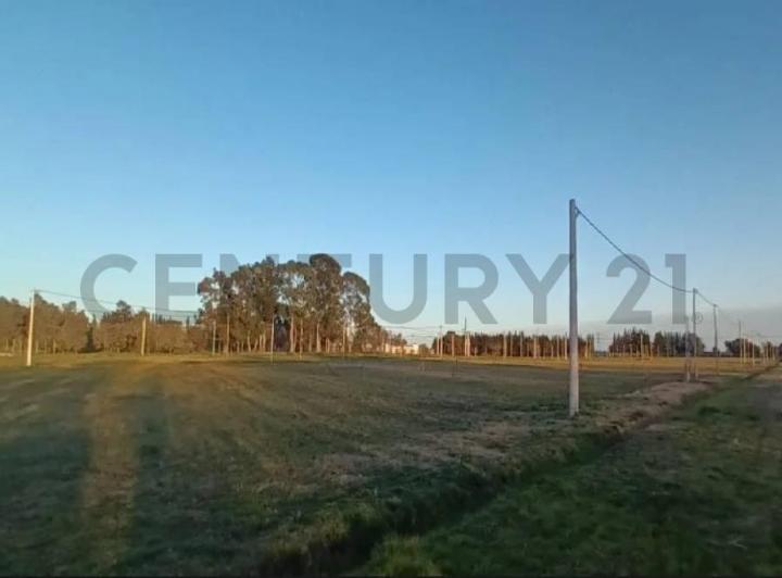 Terreno · 420m²