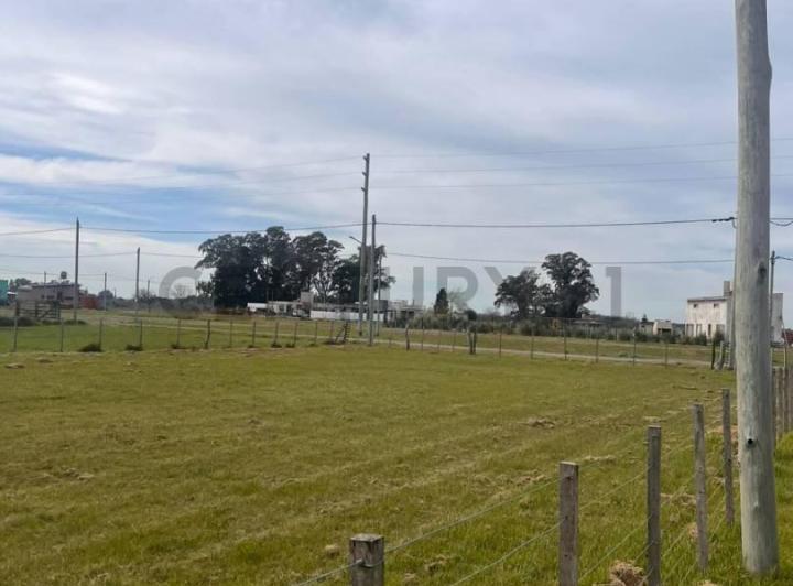 Terreno · 1000m²