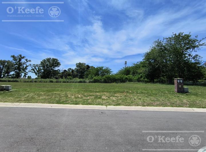 Terreno · 600m²
