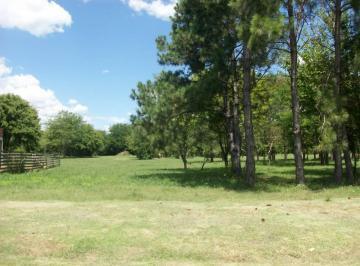 Terreno · 1148m²