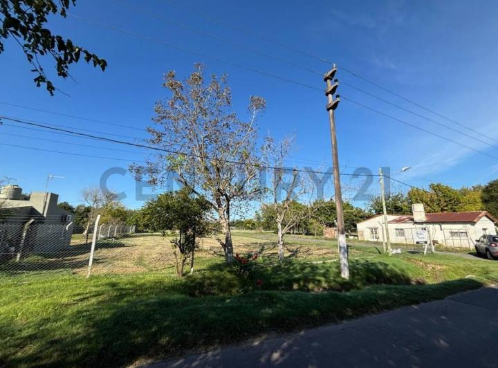 Terreno · 80m²
