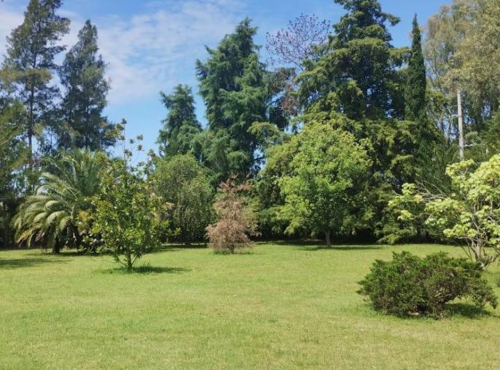Terreno · 770m²