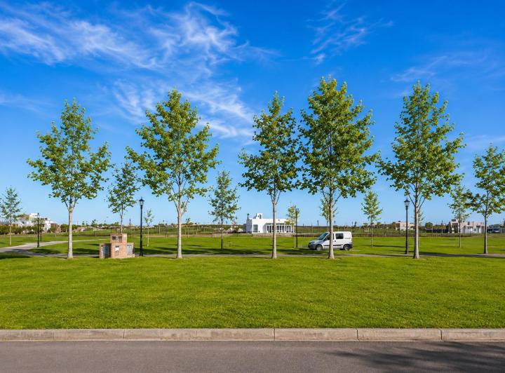 Terreno · 1045m²