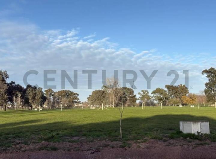 Terreno · 850m²