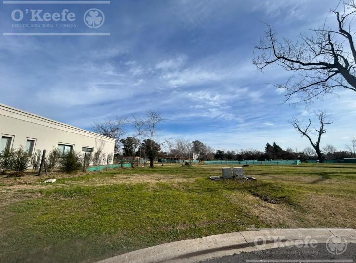 Terreno · 632m²