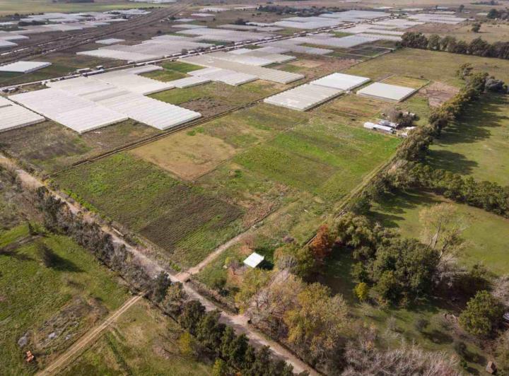 Terreno · 60000m²
