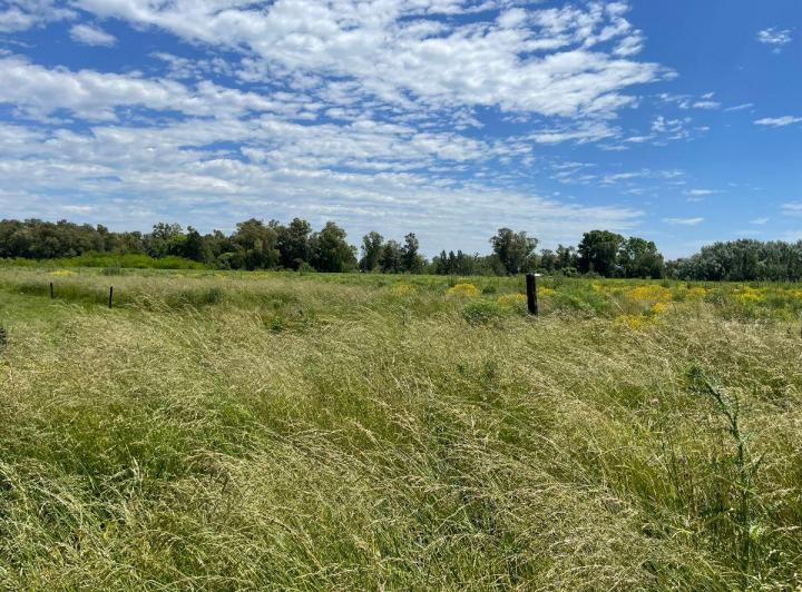 Terreno · 15000m²