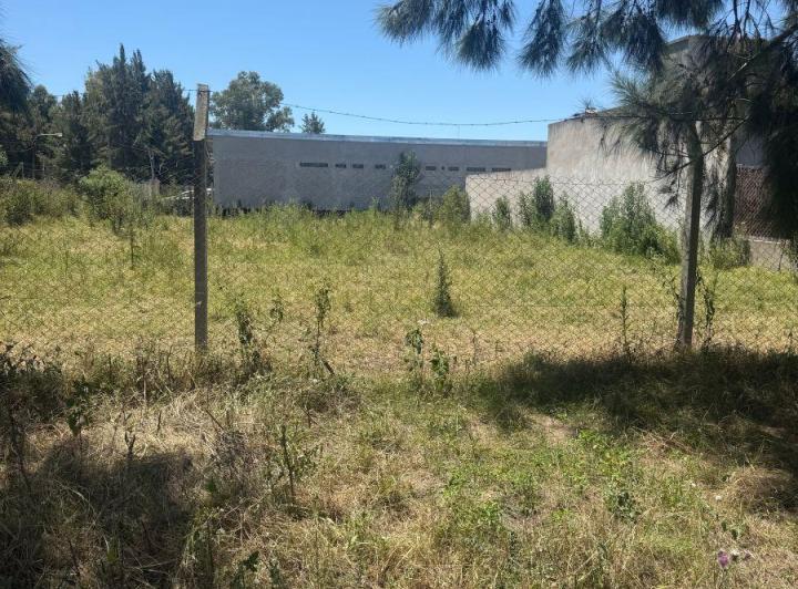 Terreno · 646m²