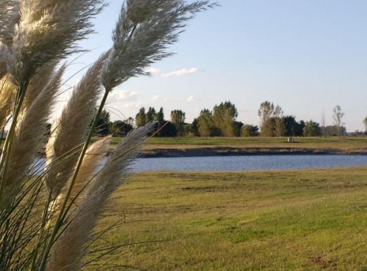 Terreno · 1560m²