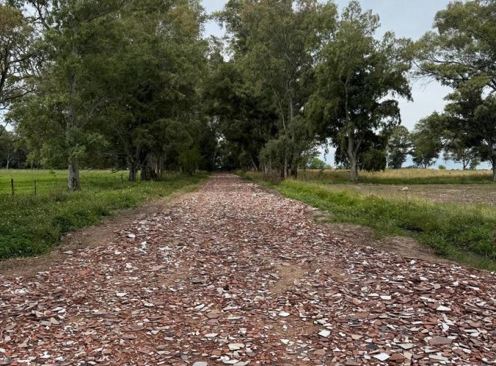 Terreno · 637m²