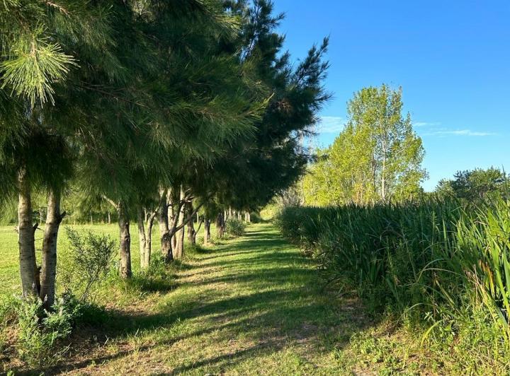 Terreno · 40000m²