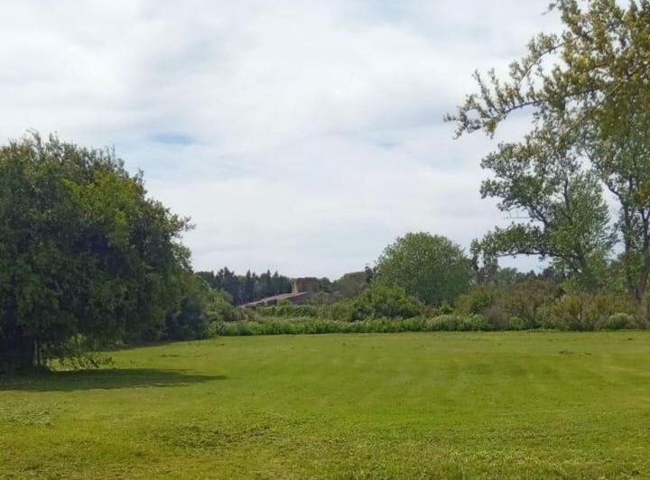 Terreno · 2428m²