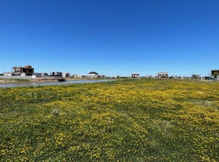 Terreno · 1263m²