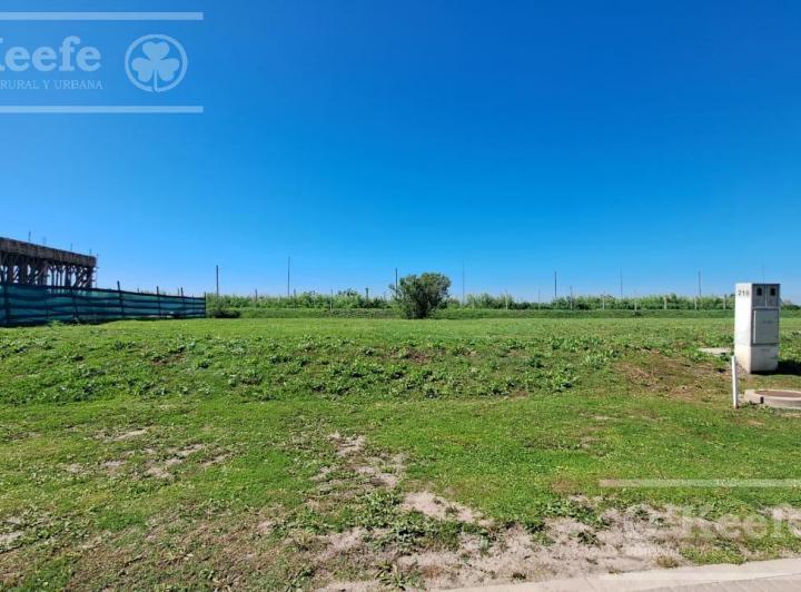 Terreno · 600m²