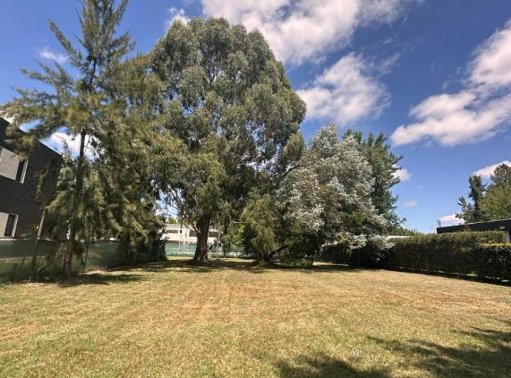 Terreno · 1069m²