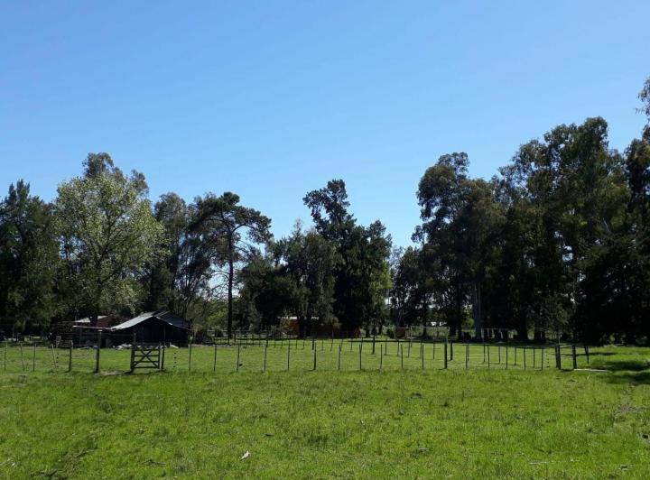 Terreno · 35000m²