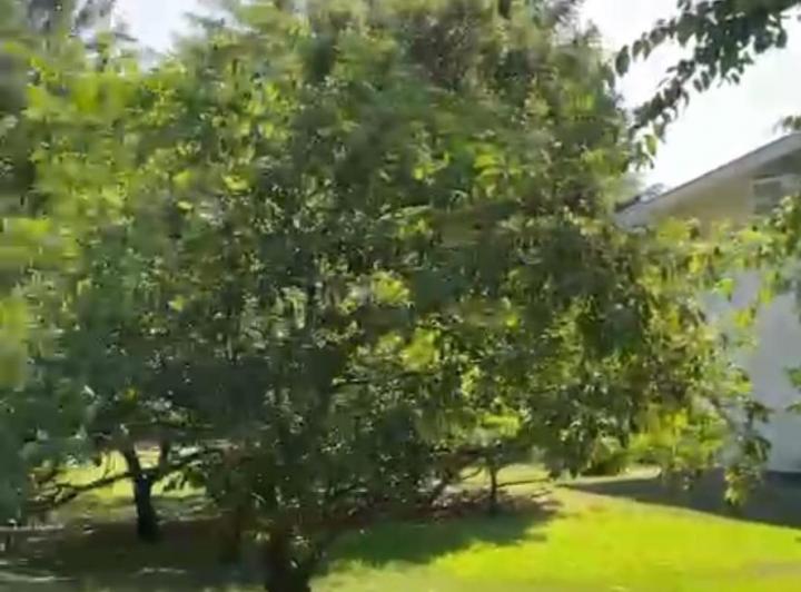 Terreno · 300m²