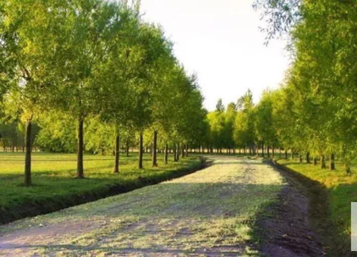 Terreno · 1000m²