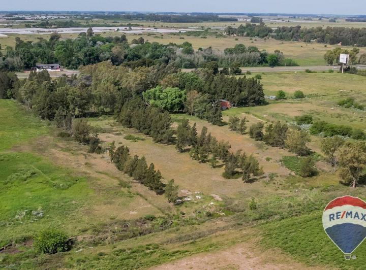 Terreno · 34342m²